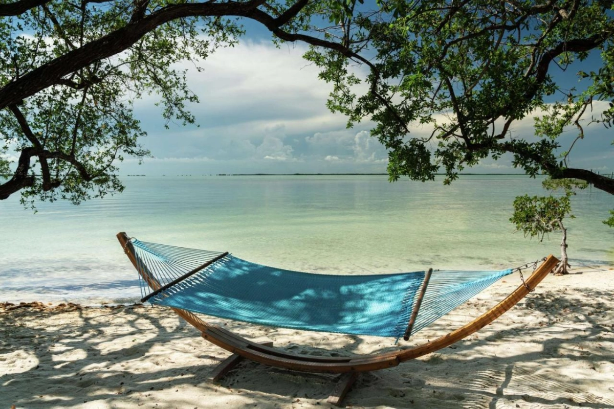 Baker's Cay Resort Key Largo Curio Collection by Hilton - Hotel Photo 9