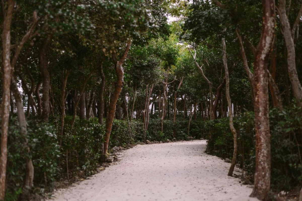 Baker's Cay Resort Key Largo Curio Collection by Hilton - Hotel Photo 10