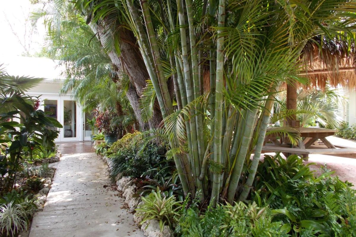 Kona Kai Resort & Gallery - Hotel Photo 25