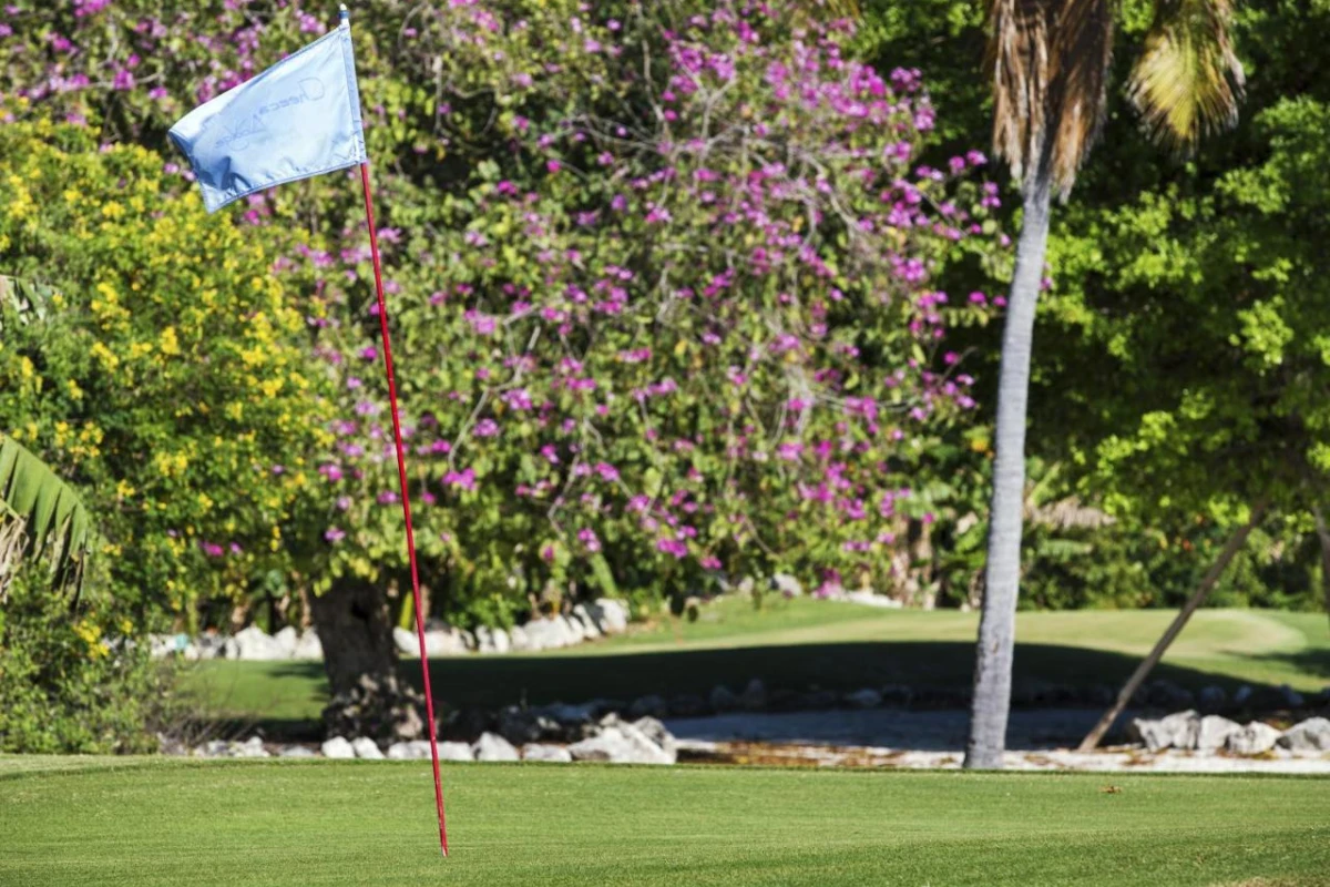 Cheeca Lodge & Spa - Hotel Photo 15