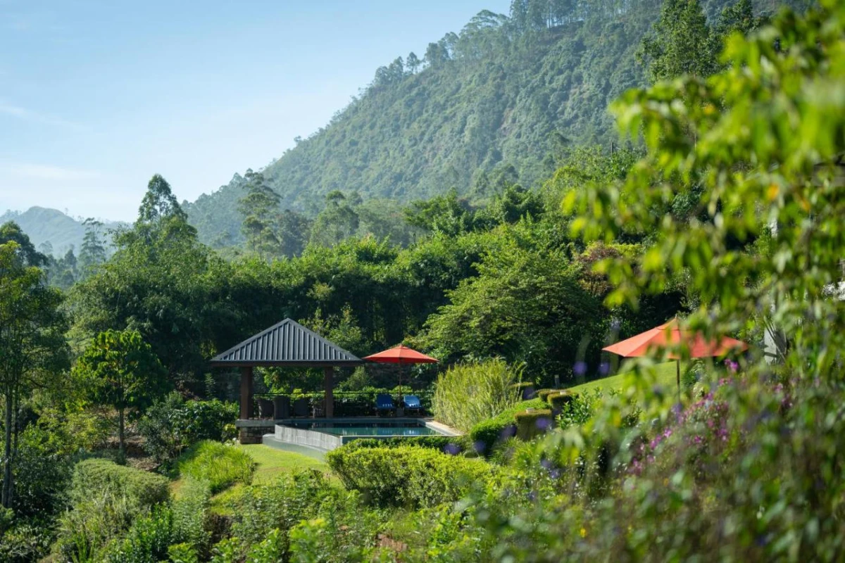 Camellia Hills - Hotel Photo 37