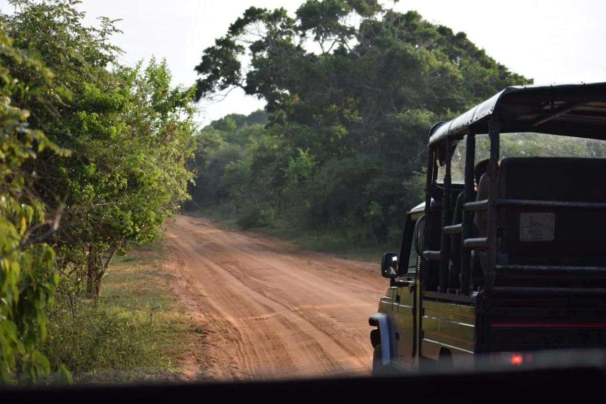 Jetwing Jungle Lodge A Luxury Reserve - Hotel Photo 4