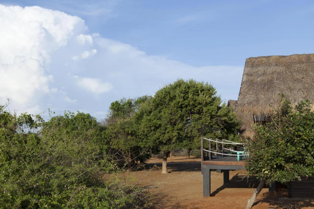 Jetwing Jungle Lodge A Luxury Reserve - Hotel Photo 28