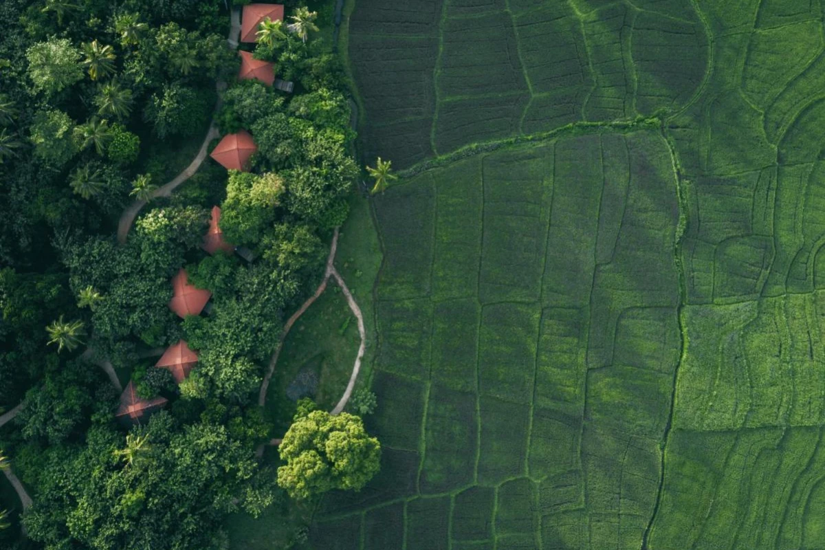 Jetwing Kaduruketha - Hotel Photo 8