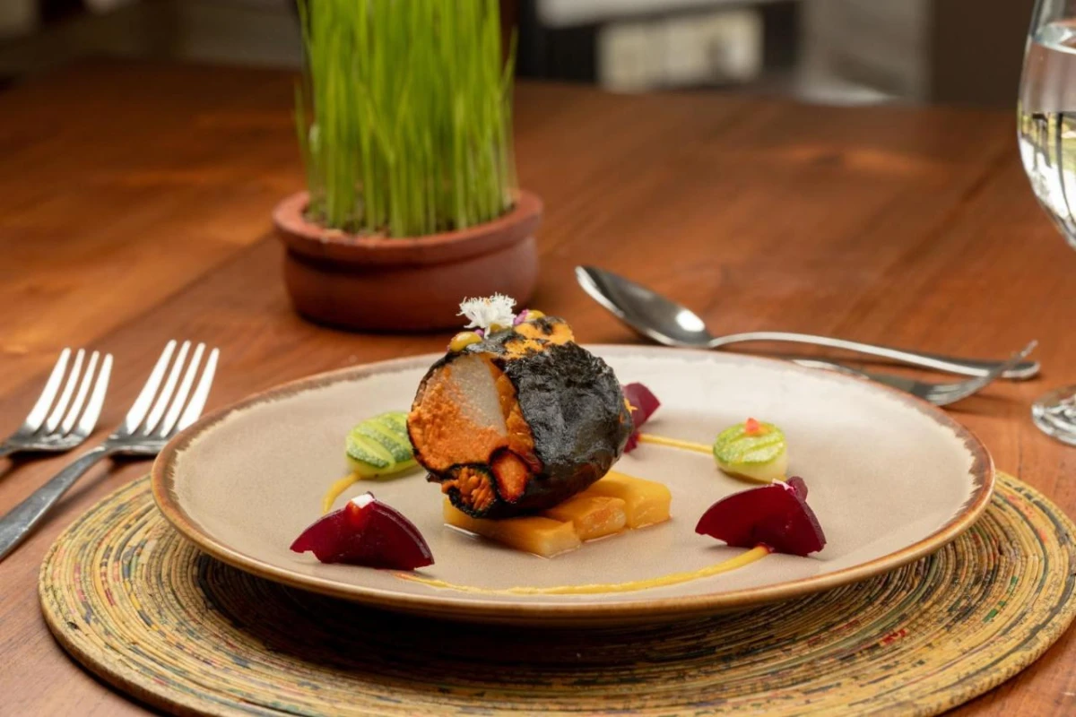 Jetwing Lagoon Wellness A Luxury Reserve - Hotel Photo 12