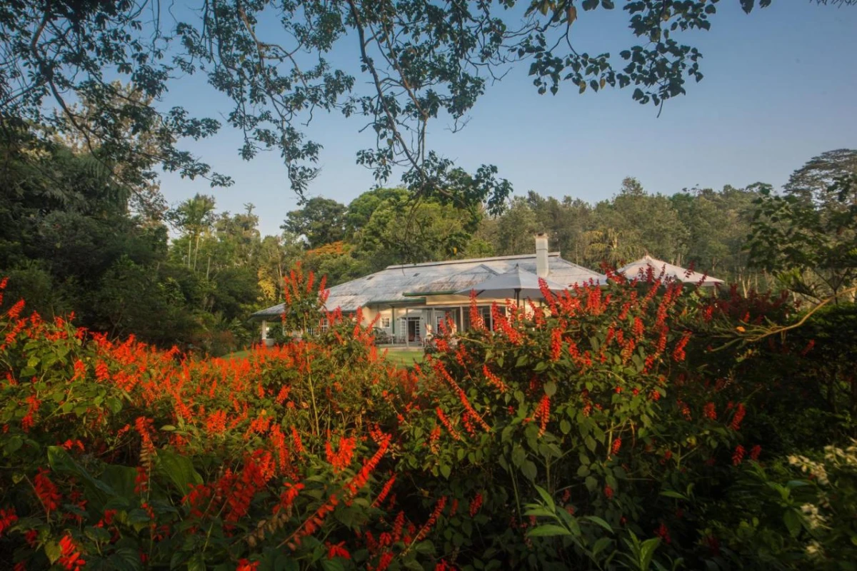 Nine Skies - Hotel Photo 38