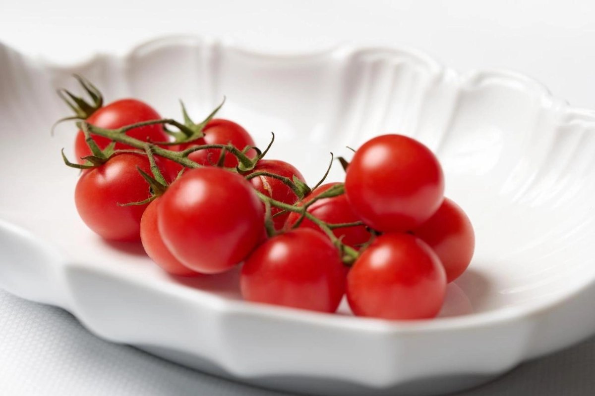 Rocco Forte Hotel Amigo - Hotel Photo 24