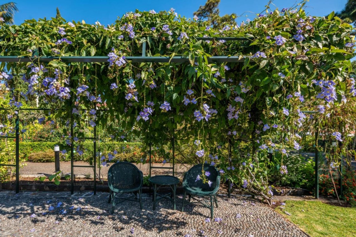 Quinta Jardins Do Lago - Hotel Photo 30