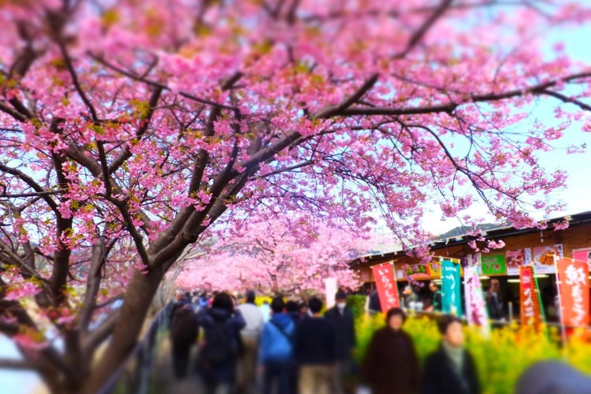 Ito Ryokuyu - Hotel Photo 37