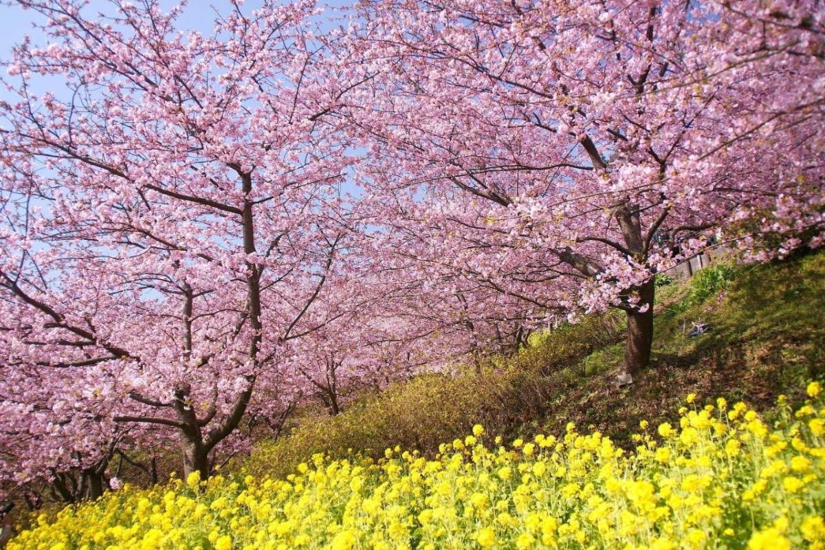 Ito Ryokuyu - Hotel Photo 38