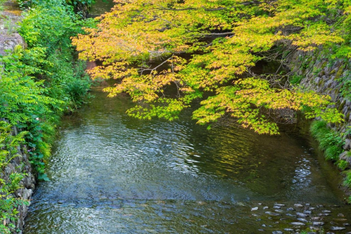 ROKU Kyoto LXR Hotels & Resorts - Hotel Photo 37