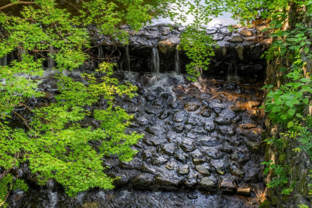 ROKU Kyoto LXR Hotels & Resorts - Hotel Photo 38