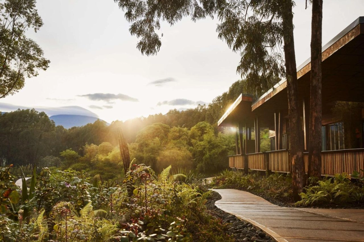 One & Only Gorilla's Nest - Hotel Photo 1