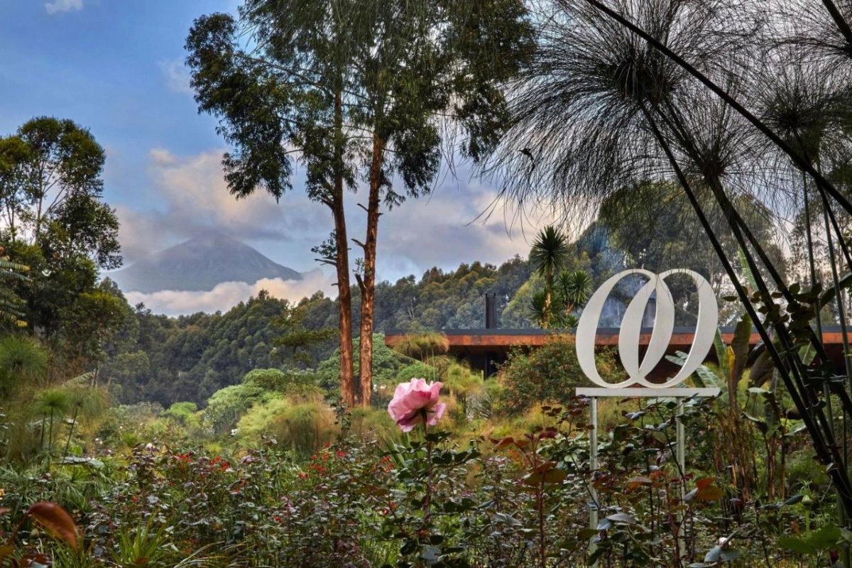 One & Only Gorilla's Nest - Hotel Photo 3