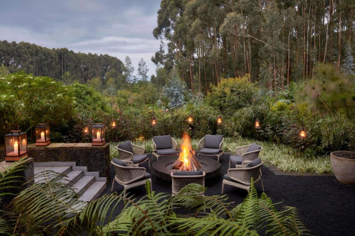 One & Only Gorilla's Nest - Hotel Photo 5