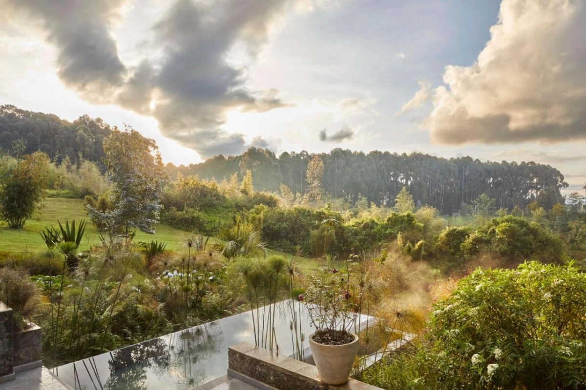 One & Only Gorilla's Nest - Hotel Photo 12