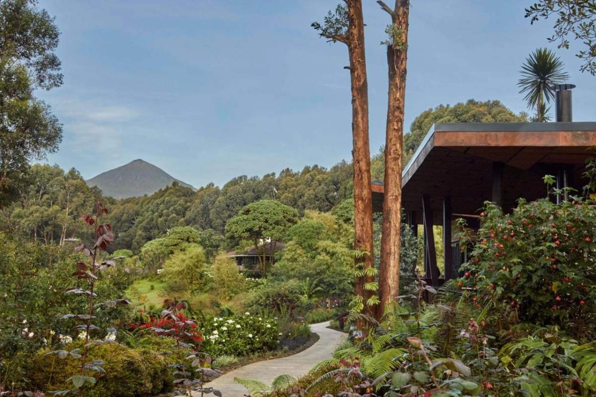 One & Only Gorilla's Nest - Hotel Photo 35