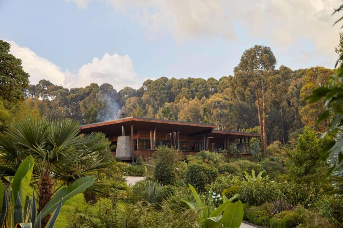 One & Only Gorilla's Nest - Hotel Photo 36