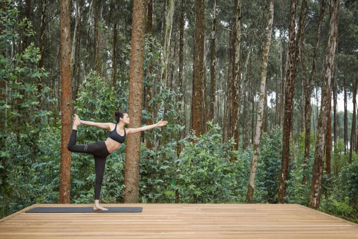 One & Only Gorilla's Nest - Hotel Photo 40