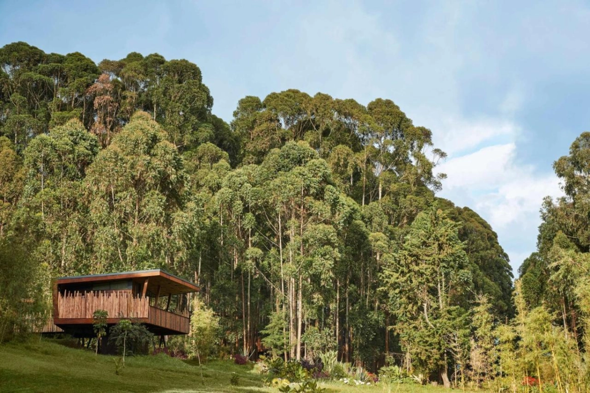 One & Only Gorilla's Nest - Hotel Photo 41