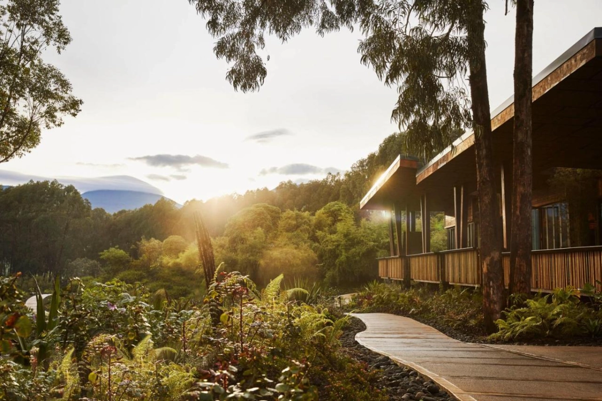 One & Only Gorilla's Nest - Hotel Photo 49