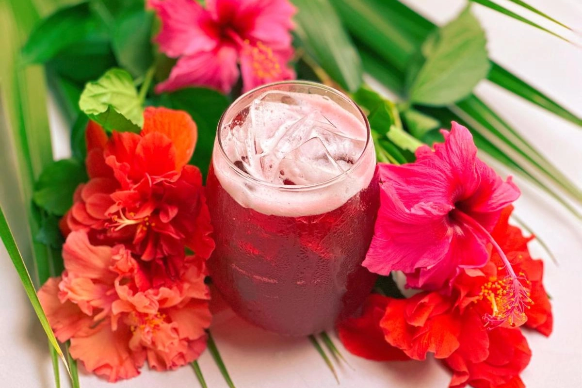 Mount Cinnamon Resort & Beach Club - Hotel Photo 39