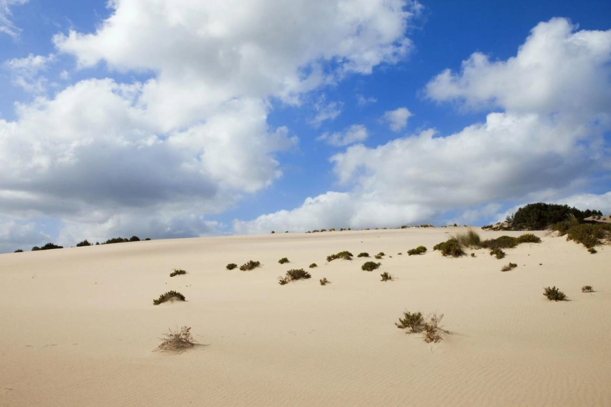 Hotel Le Dune Piscinas - Hotel Photo 25