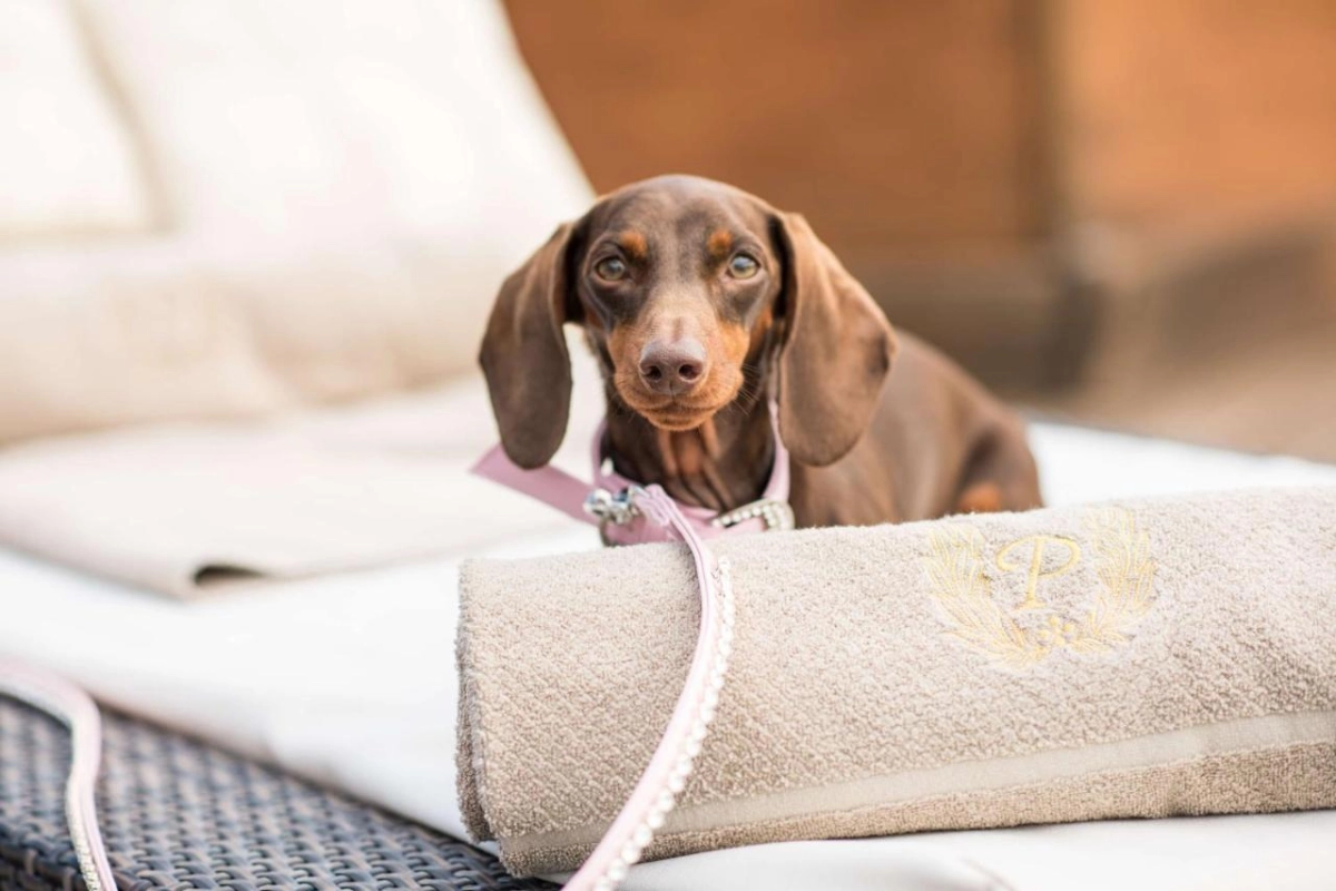 Rome Cavalieri, A Waldorf Astoria Hotel - Hotel Photo 4