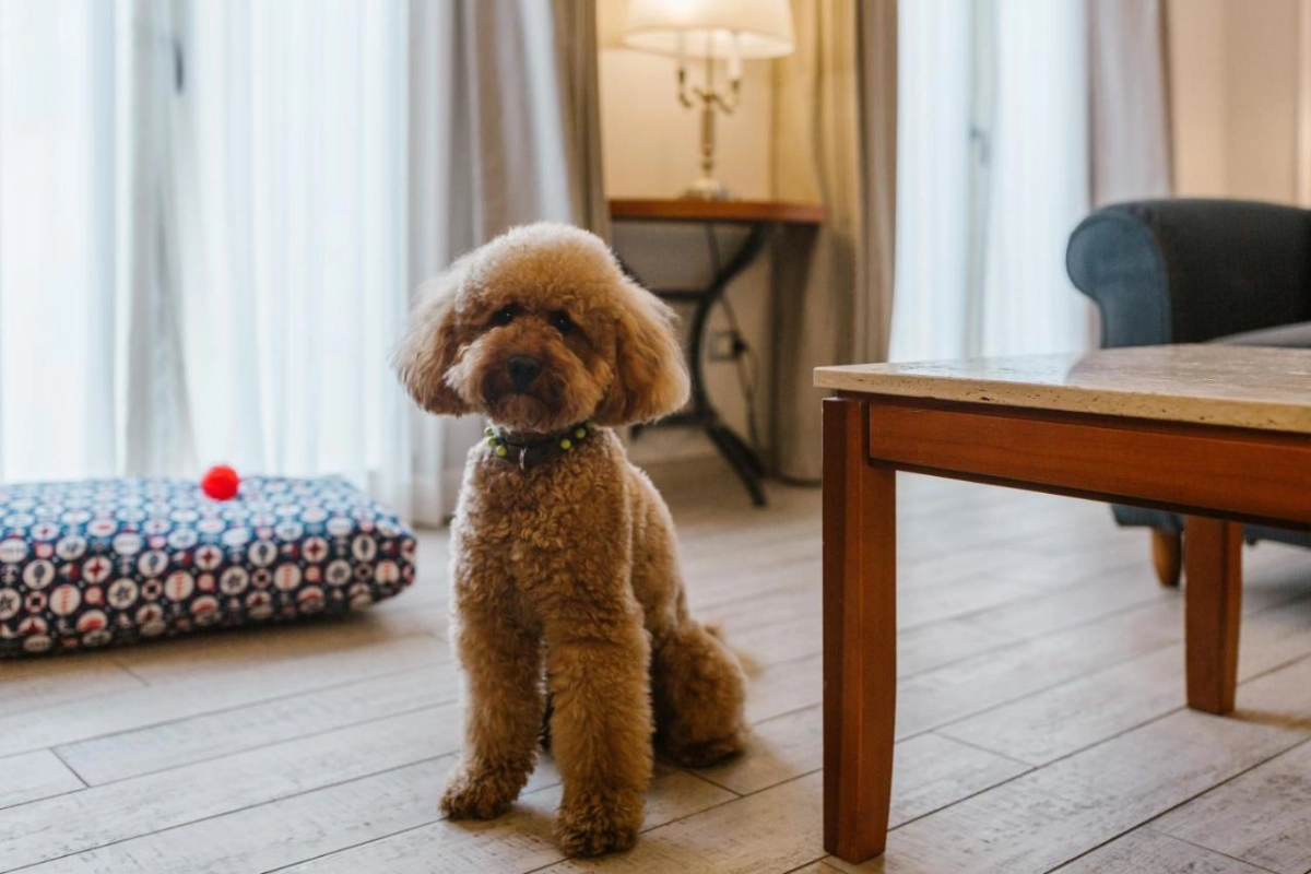 Terme di Saturnia Natural Spa & Golf Resort - Hotel Photo 4