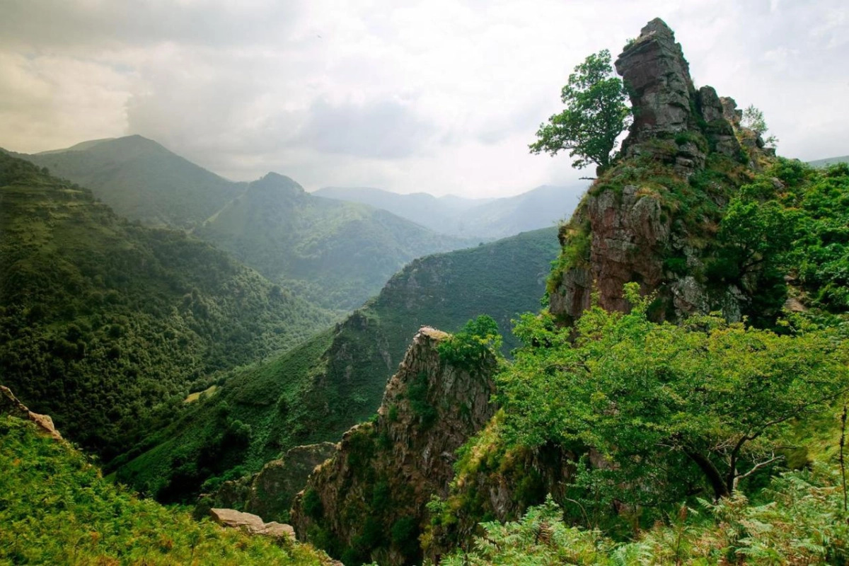 Auberge Ostape - Hotel Photo 26