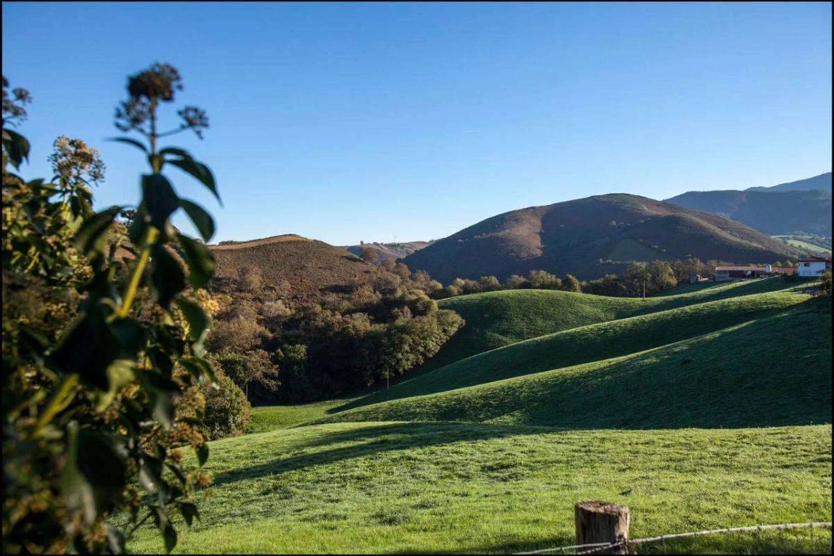 Auberge Ostape - Hotel Photo 27