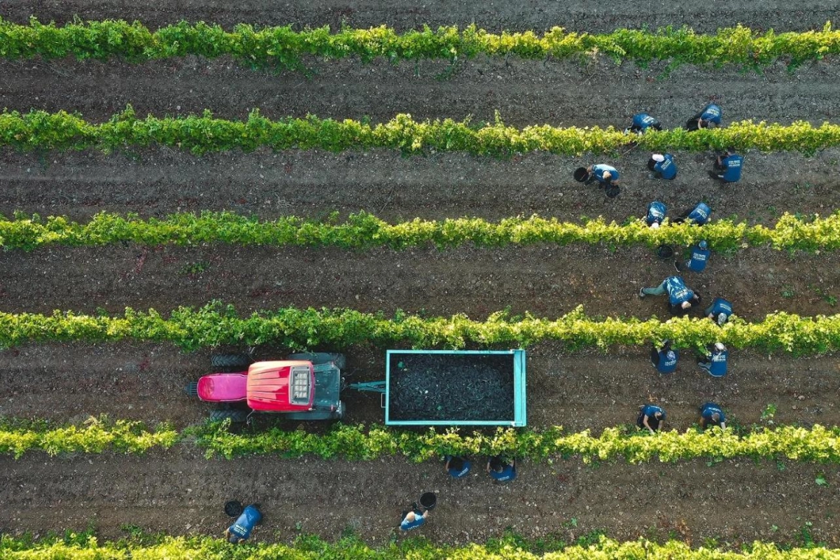 Chateau De Berne - Hotel Photo 17