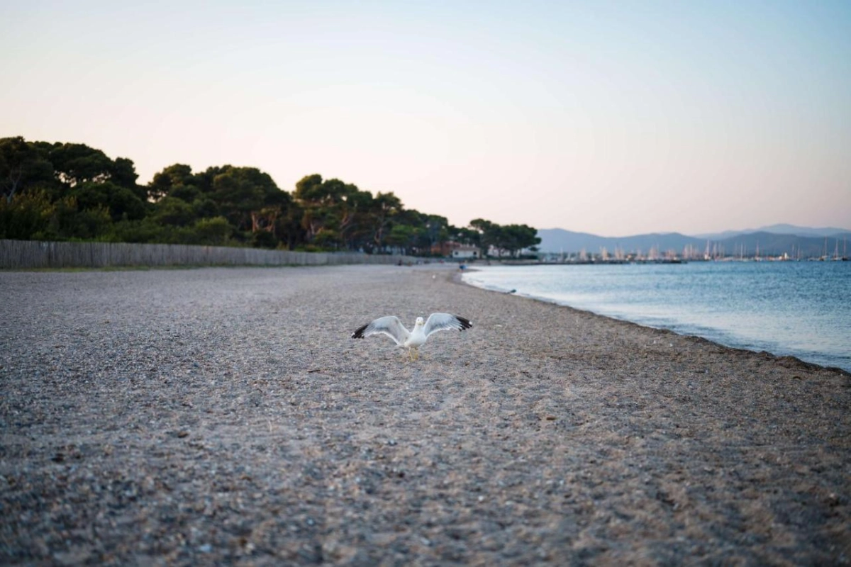 Le Hameau Des Pesquiers Ecolodge & Spa - Hotel Photo 45