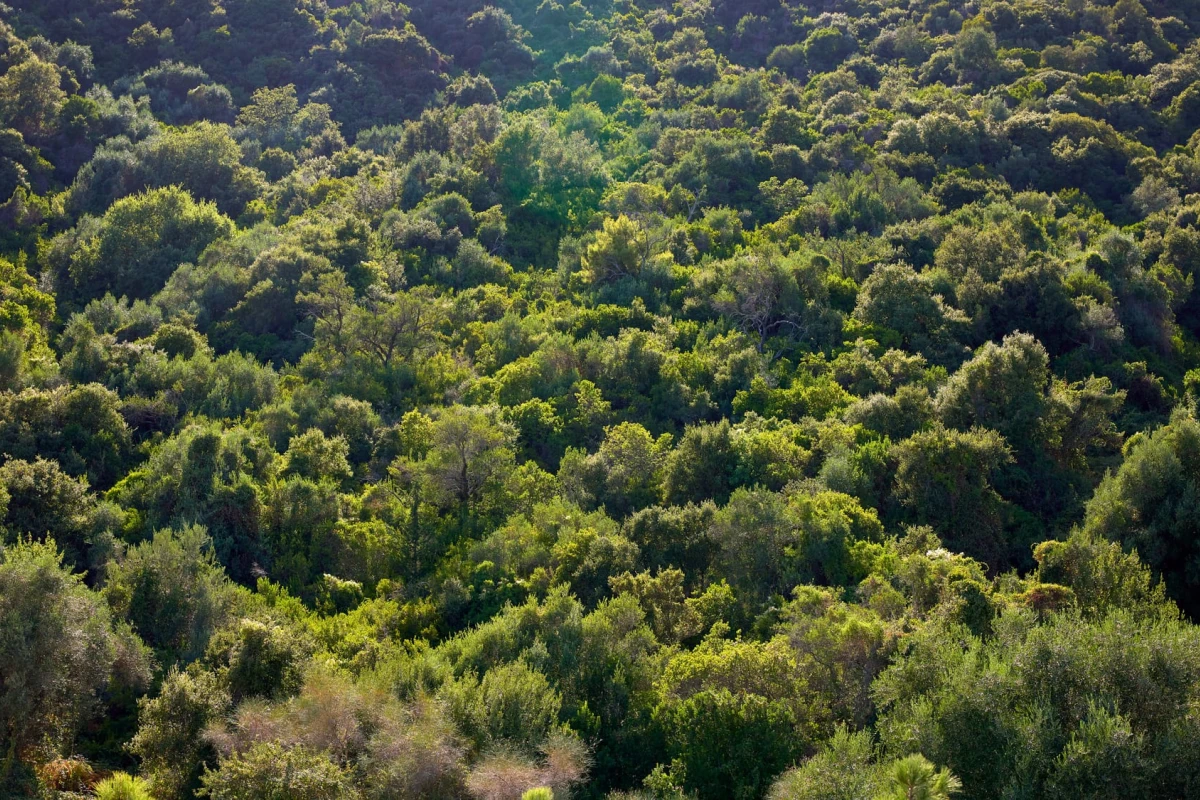 Avali, Mar-Bella Collection - Hotel Photo 28