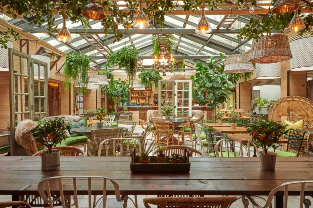 Kimpton Charlotte Square Hotel - Hotel Photo 11