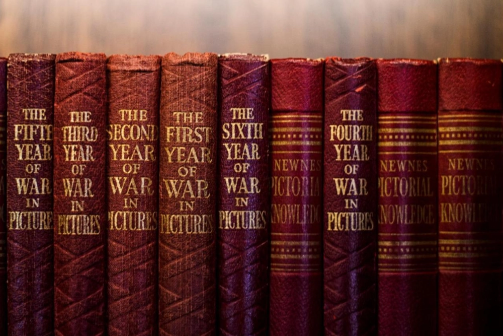 The Bonham Hotel - Hotel Photo 30