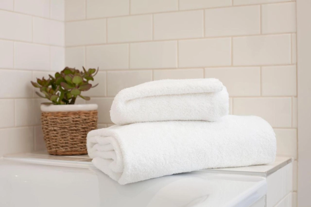 The Roseate Edinburgh - Hotel Photo 48