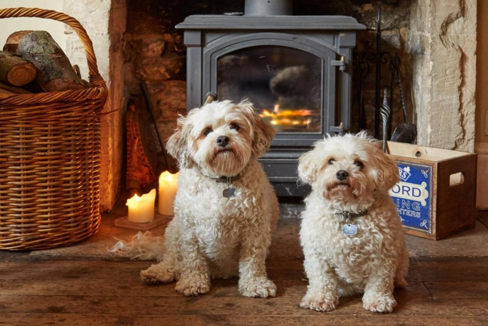 Burford House - Hotel Photo 20