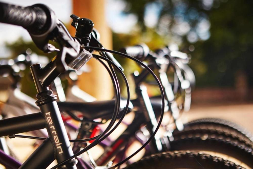 Alexander House Hotel & Utopia Spa - Hotel Photo 4