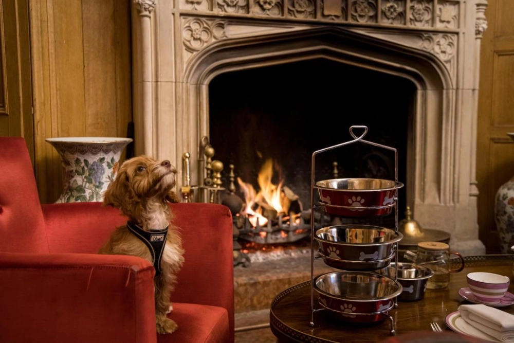 Alexander House Hotel & Utopia Spa - Hotel Photo 32