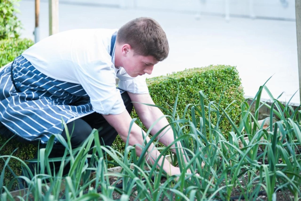 Summer Lodge Country House - Hotel Photo 25