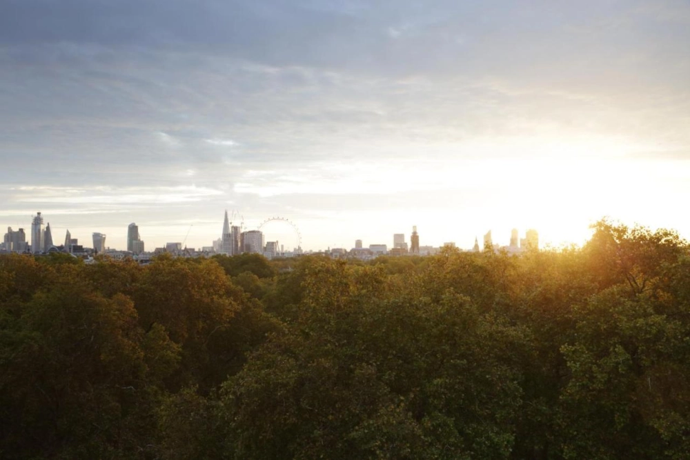 The Athenaeum Hotel & Residences - Hotel Photo 27