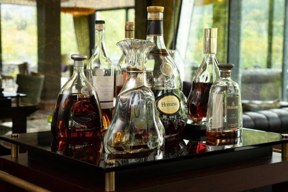 Fonab Castle Hotel - Hotel Photo 34