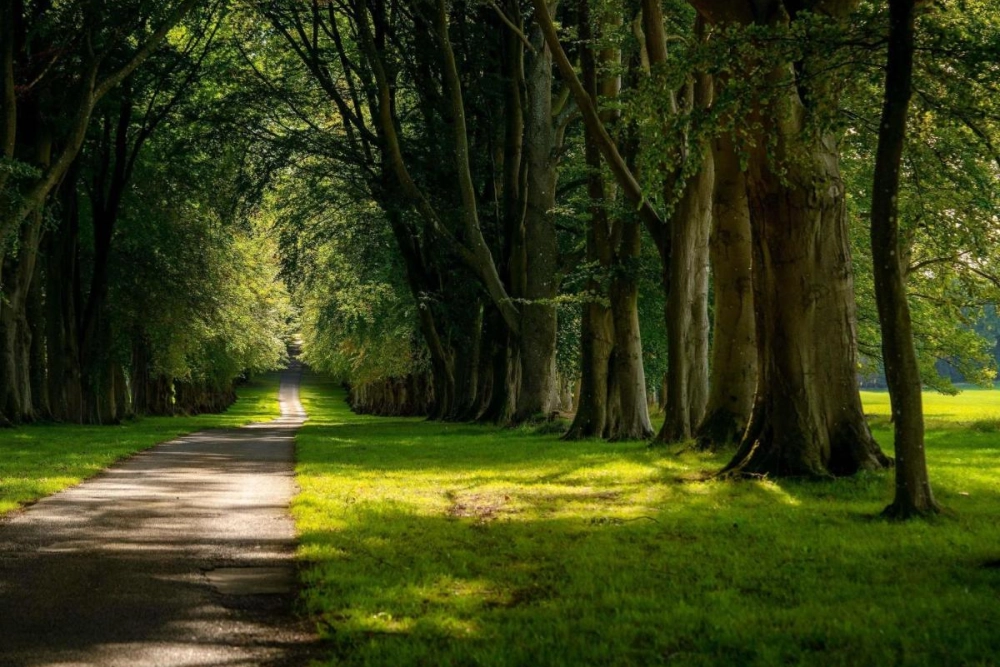 Lucknam Park, Emblems Collection - Hotel Photo 3
