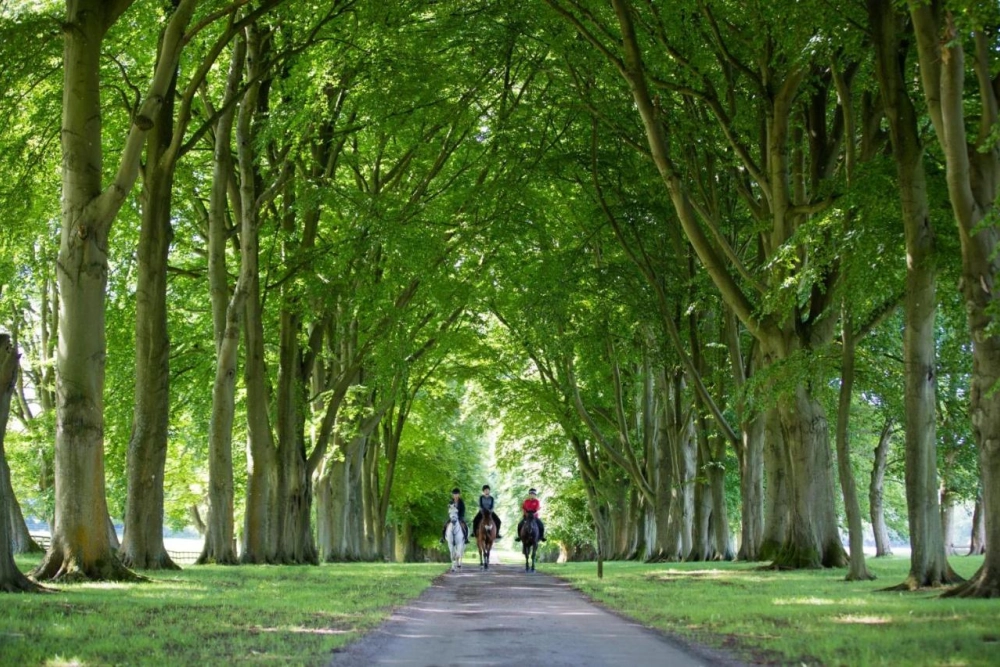 Lucknam Park, Emblems Collection - Hotel Photo 23