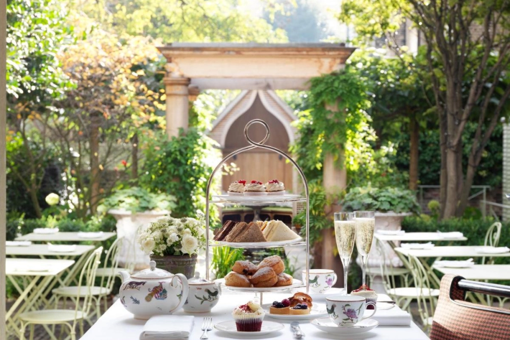 Number Sixteen - Hotel Photo 6