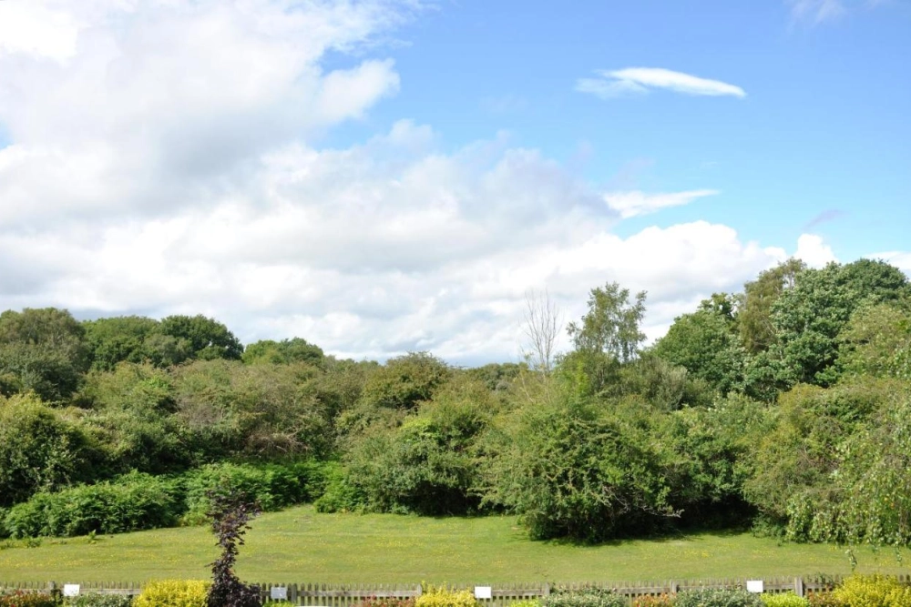 Balmer Lawn Hotel & Spa - Hotel Photo 32