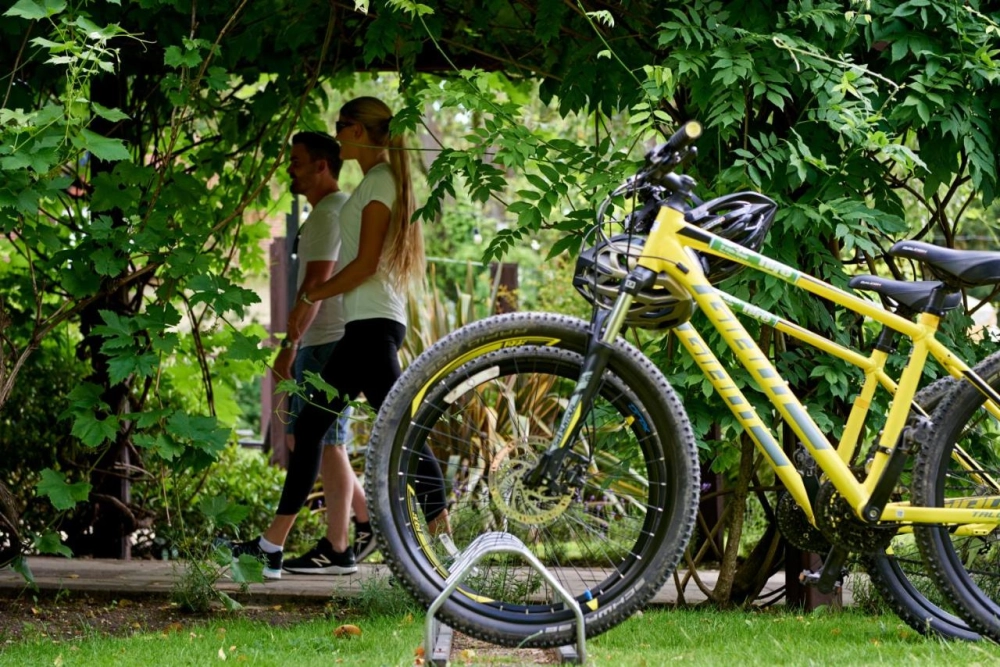 Careys Manor Hotel & SenSpa - Hotel Photo 27