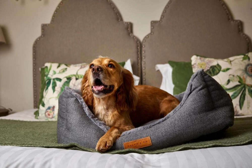 The Montagu Arms Hotel - Hotel Photo 3