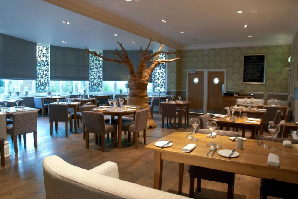 The Green House - Hotel Photo 7